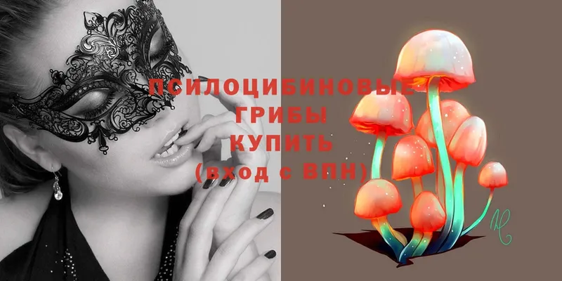 Псилоцибиновые грибы Magic Shrooms Карачев